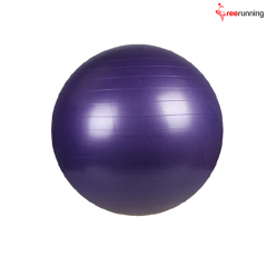 Professional Exercise Equipment Yoga Swiss Ball