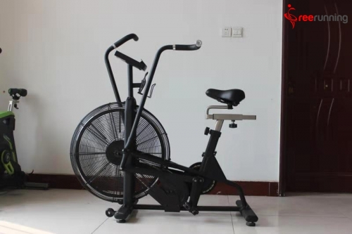 assault air exercise bike